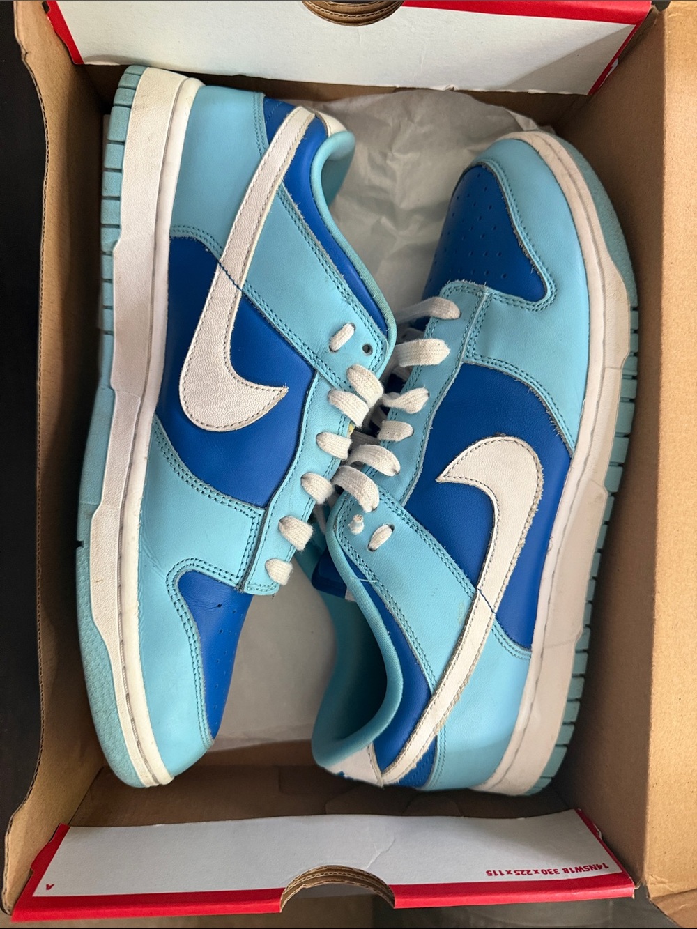 Nike Dunk Argon